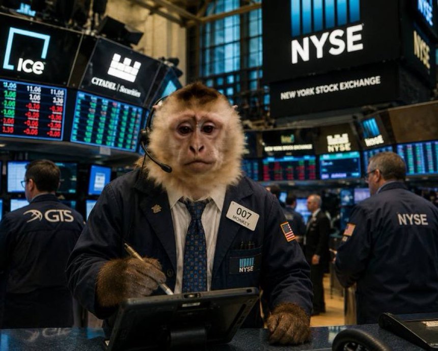 Wage monkey in a trader's jacket on an exchange floor